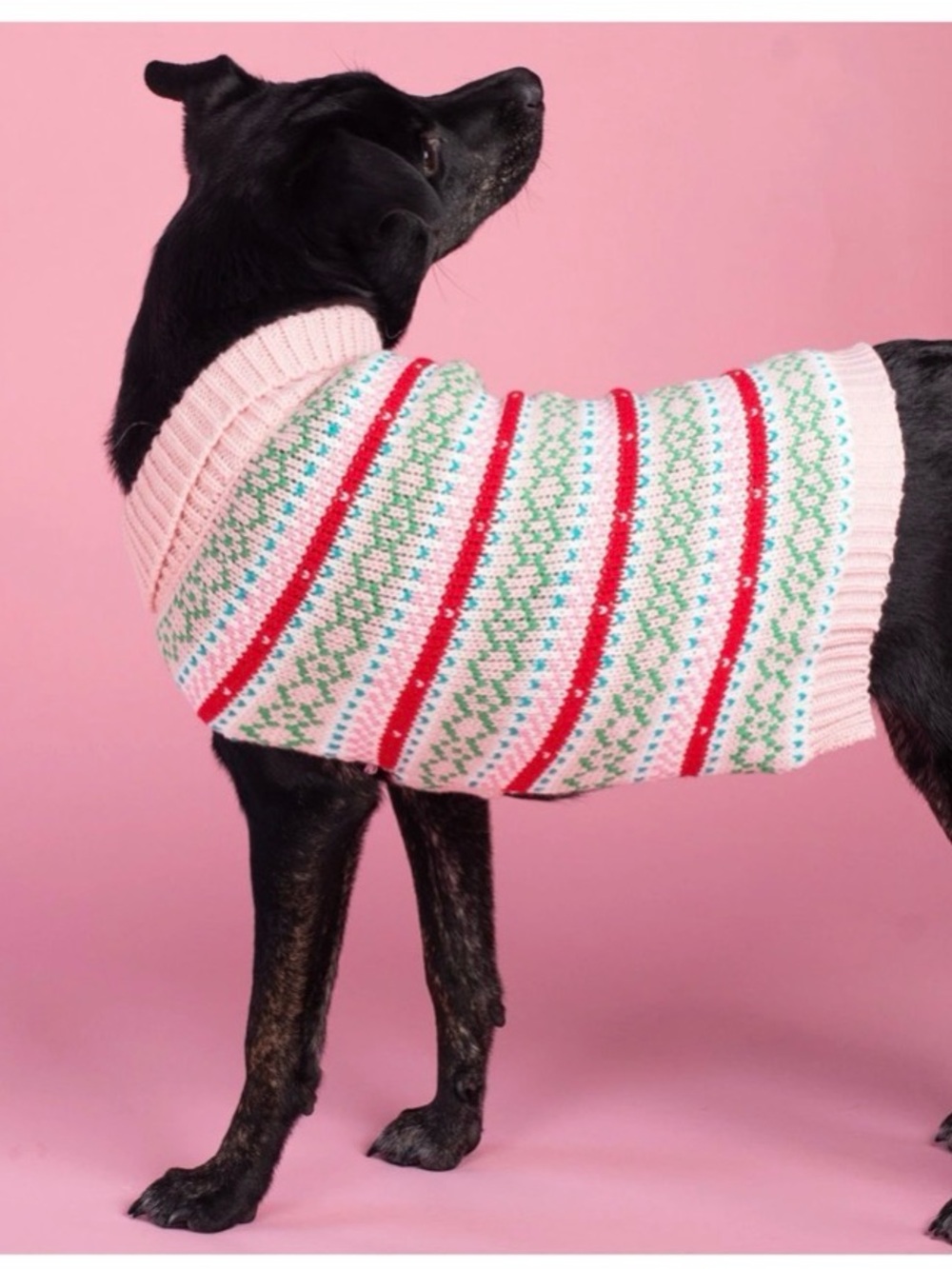 Cozy Pink Fair Isle Dog Sweater with Red & Green Stripes